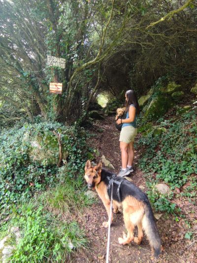 Mulher num trilho com cães, carregando uma cadela idosa pequena numa bolsa para transporte de caes a tira colo, com pastor alemão em primeiro plano. Trilhos e caminhadas com cães em Portugal - rota da agua, Lisboa