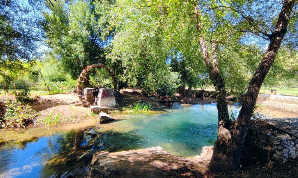 Ribeira com água cristalina rodeada por árvores e vegetação, com uma roda de moinho de madeira junto à margem. Ambiente sereno, ideal para passeios na natureza e para percorrer trilhos com cães.