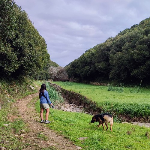 Mulher com casaco azul, com um pastor alemão a caminhar na rota da água, Pó, Portugal, rodeado de vegetação verde e árvores altas