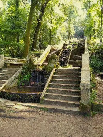Escadaria da Fonte Fria da Mata do Bussaco