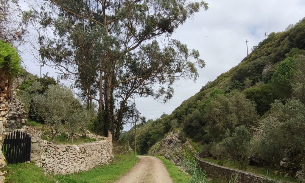 Trilho verdejante com muros de pedra antigos - trilho rota da água Lisboa