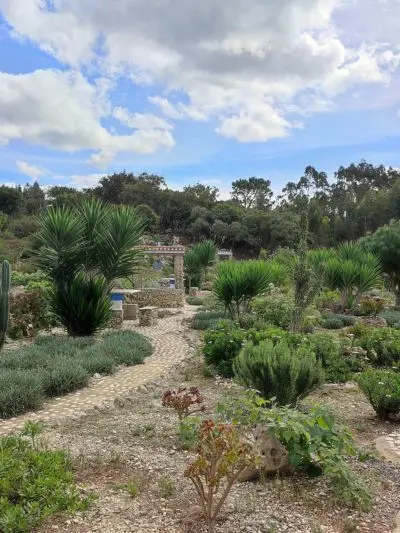 Jardim com plantas, mesa de piquenique e poço de pedra