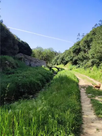 Trilho verdejante com azenha e ponte de pedra ao fundo - trilho rota da água, Lisboa