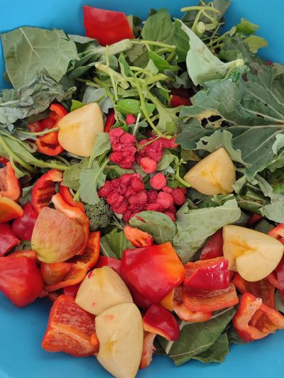 Vários legumes e frutas que vão ser usados para preparar a barf para cães
