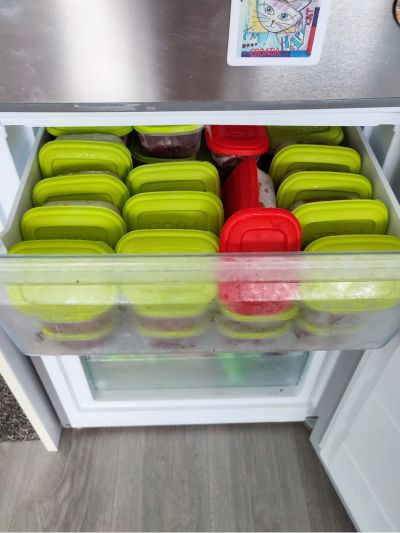 Caixas com alimentação BARF para gato para um mês num congelador
