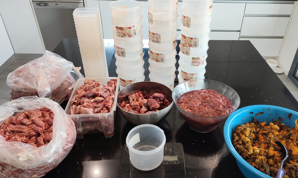 Bancada de cozinha com todos os ingredientes necessários para a preparação da alimentação BARF para cão. Vemos uma caixa pequena em cima de uma balança e à sua volta, os ingredientes em recipientes: pescoços, moelas, corações, fígados, e legumes