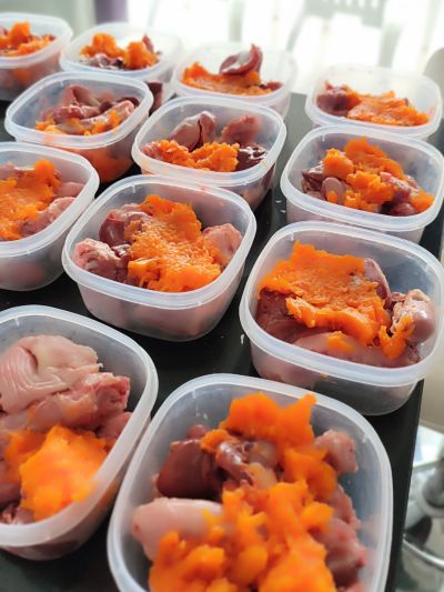 Várias caixas com alimentação BARF para cães, composta por pescoço, moelas, coração, fígado de frango e legumes