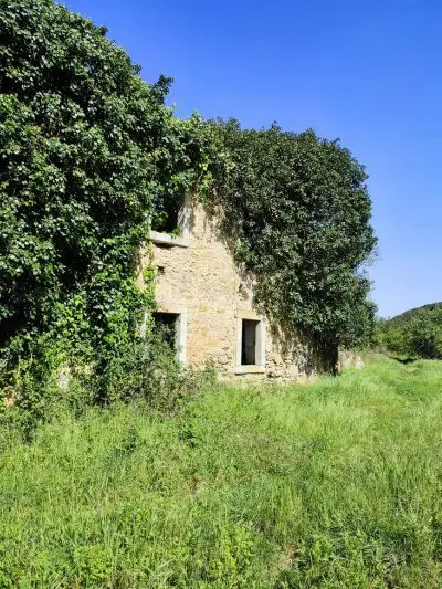 Construção antiga e abandonada rodeada de vegetação, incluindo no topo