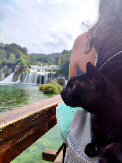 Gato paraplégico numa mochila para transporte de caes às costas de uma mulher. O gato está a observar as cascatas no Parque Nacional de Krka - viajar com gatos é possível