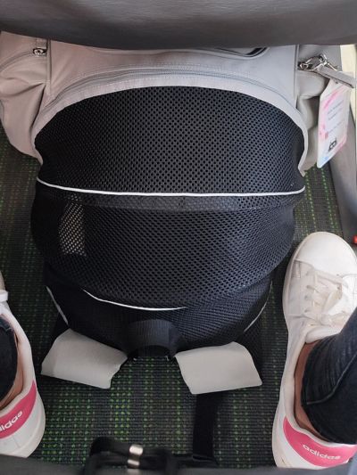 Mochila para transporte de caes e gatos debaixo do assento num avião