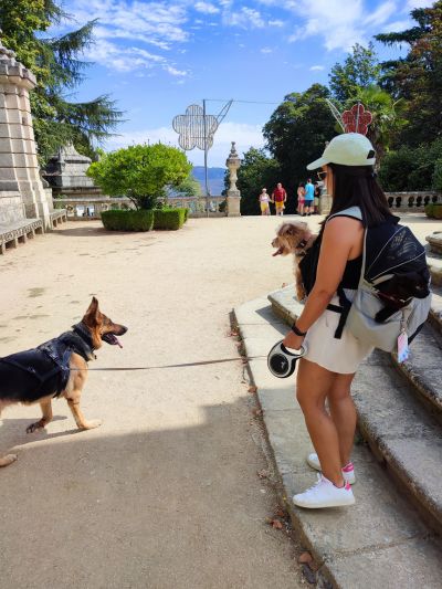 Mulher no Santuário de nossa senhora dos remédios em Lamego com um gato paraplégico numa mochila para transporte de caes às suas costas e um cão idoso numa bolsa para transporte de caes na parte da frentefrente. Além disso segura pela trela um cão pastor alemão
