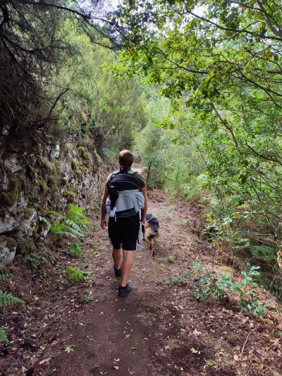 Homem a percorrer o caminho dos monges em São João de tarouca com um gato paraplégico numa mochila para transporte de caes às costas e um cão pastor alemão pela trela