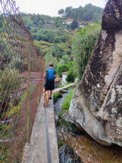 Homem e cães a percorrer a levada que leva à Cascata das 5 Rodas, em Oliveira do Douro, portugal