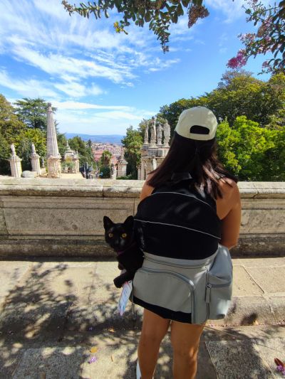 Mulher observa a cidade de Lamego desde o Santuário de nossa senhora dos remédios. Um gato paraplégico está numa mochila para transporte de caes às suas costas.
