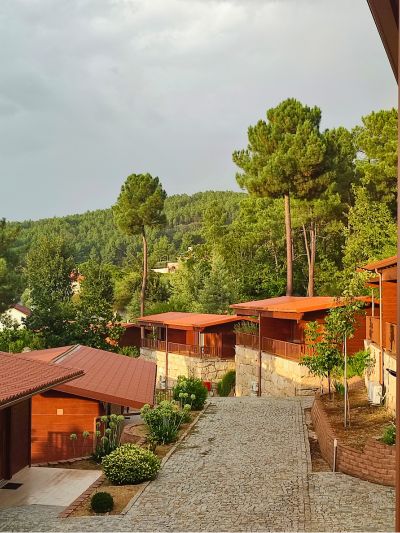 bungalows da quinta do lameiro tarouca portugal, com uma vasta floresta verde ao fundo. alojamento perfeito para escapadinhas na natureza
