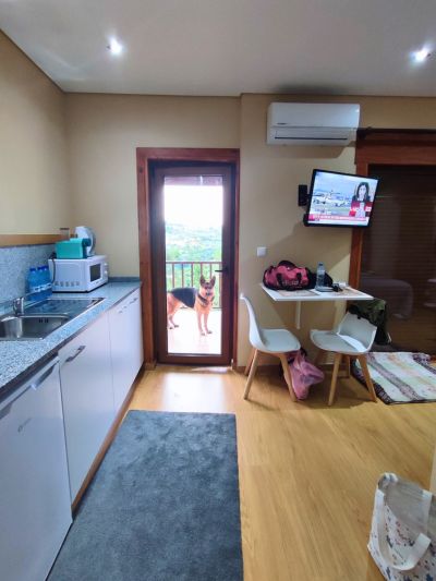 Interior de um dos bungalows na quinta do lameiro tarouca portugal, alojamento que aceita animais. Ao fundo vê-se um cão pastor-alemão do outro lado da porta de vidro, na varanda