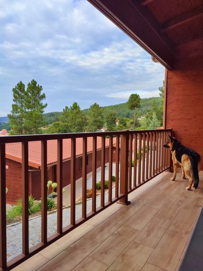 Cão pastor alemão numa varanda de um dos alojamentos que aceitam animais - quinta do lameiro tarouca portugal, observando curiosamente através das grades, outros bungalows, com uma vasta floresta verde ao fundo.