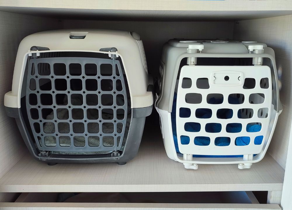 2 transportadoras preparadas caso haja necessidade de levar animais durante um evacuação
