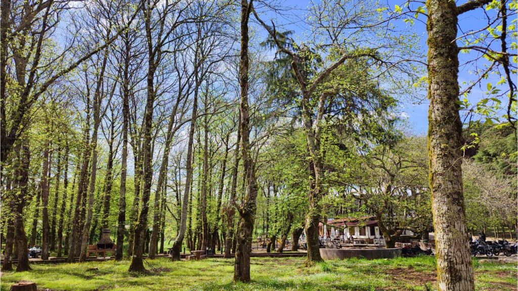 Parque de Merendas da serra de Montejunto