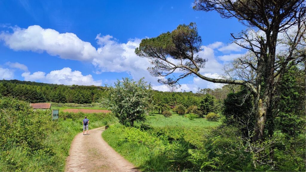 Homem a caminhar com um pastor alemão num trilho pet-friendly na serra de Montejunto, um dos trilhos perto de Lisboa