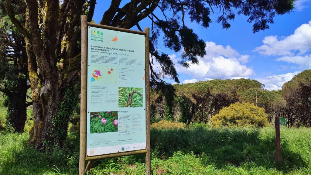 Painel informativo do percurso pedestre da Estação da Biodiversidade de Montejunto, com detalhes sobre a fauna, flora e trilho circular.