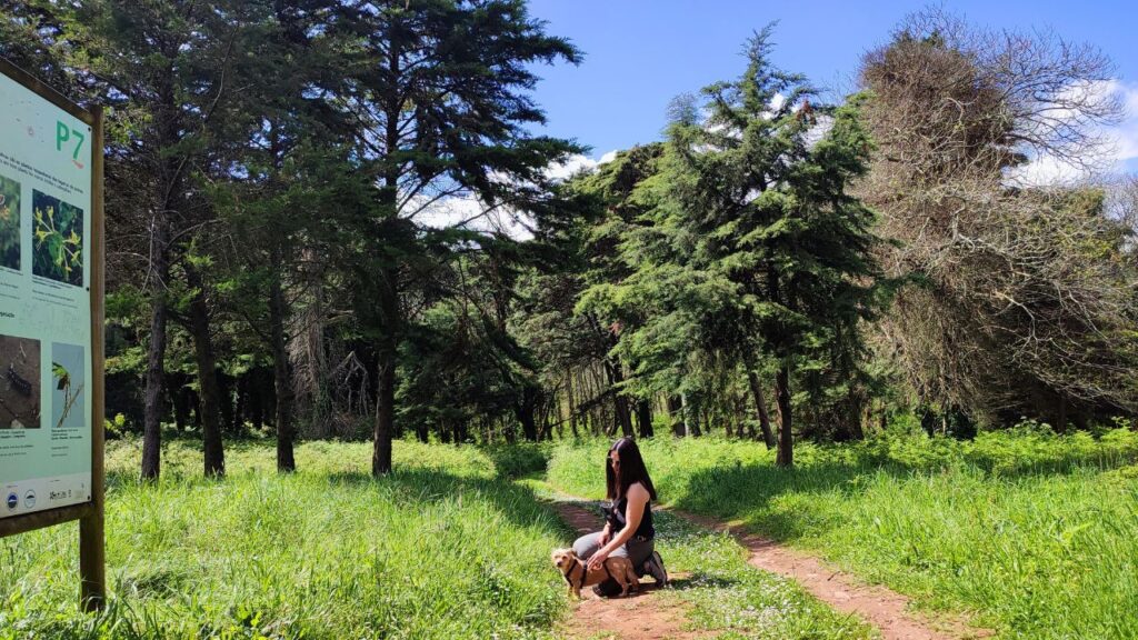 Mulher de joelhos a dar festinhas num cão pequeno de 13 anos num trilho pet-friendly na serra de Montejunto