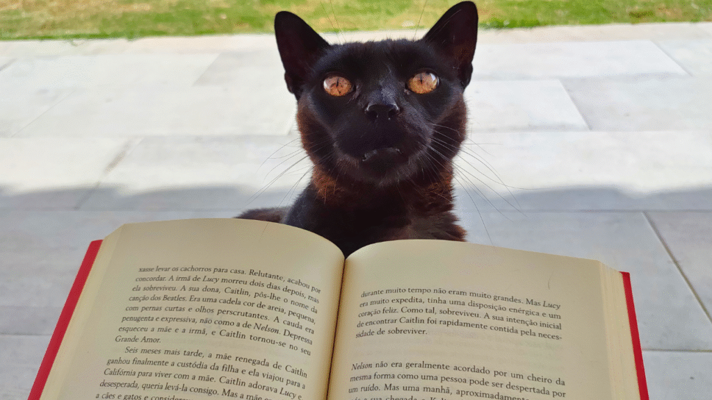 Gato preto a espreitar por detrás de um livro aberto